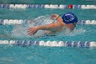 Swim vs Bentley  Wheaton College Swimming & Diving vs Bentley University. - Photo by Keith Nordstrom : Wheaton, Swimming & Diving